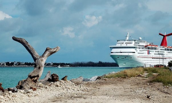 Ausflüge für Kreuzfahrer, Landgänge und Tagesausflaug auf Toabgo. Bild (C) Pixabay