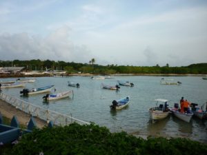 Port of Buccoo on Tobago in the Caribbean with long sandy beach, palm trees and colourful fishing boats. Nearby are the Buccoo Reef and the Nylon Pool.