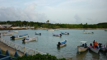 Hafen von Buccoo auf Tobago in der Akribik mit langem Sandstrand, Palmen und bunten Fischerbooten. In der Nähe sind das Buccoo Reef und der Nylon Pool.