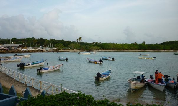 Hafen von Buccoo auf Tobago in der Akribik mit langem Sandstrand, Palmen und bunten Fischerbooten. In der Nähe sind das Buccoo Reef und der Nylon Pool.