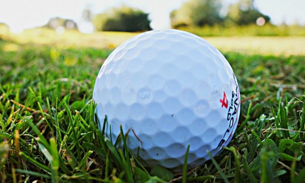 Auf Tobago gibt es zwei Golf-Plätze mit internationalem Standard. Tobago-Live informiert über die Lage und Ausstattung. Verbessern Sie Ihr Handycap in der Karibik unter Palmen. Bild (C) Pixabay