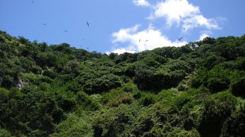 Regenwald Tour mit Besuch des Kolibrigartens