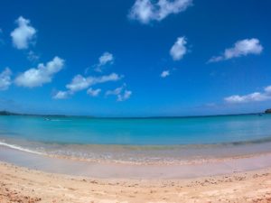 The Bay of Buccoo, Tobago