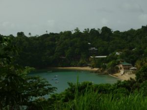 Erkunden Sie Tobago bei einem Landgang mit abschließendem Badeaufenthalt.