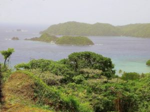 Regenwald am oberen Atlantik auf Tobago in der Karibik
