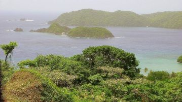 Regenwald am oberen Atlantik auf Tobago in der Karibik