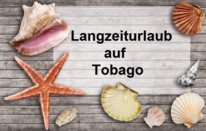 Langzeiturlaub in der Karibik auf Tobago ist besonders attraktiv. Machen Sie den Winter zum Sommer und profitieren mit Tobago-Live von vielen Vorteilen.