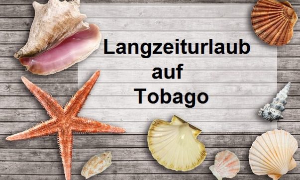 Langzeiturlaub in der Karibik auf Tobago ist besonders attraktiv. MAchen Sie den Winter zum Sommer und profitieren mit Tobago-Live von vielen Vorteilen.