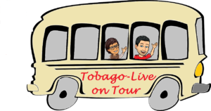 TTobago-Live on Tour is our travel blog about our holiday on Tobago in the Caribbean. Experience of excursions, day trips, diving, snorkelling, accommodation, restaurant and sports.