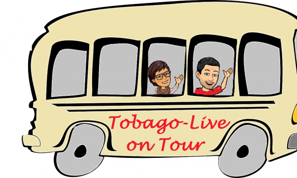 Tobago-Live on Tour ist unser Reiseblog über unseren Urlaub auf Tobago in der KAribik. Erfahrungen zu Ausflügen, Tagesausflug, Tauchen, Schnorcheln, Unterkunft, Restaurant und Sport.