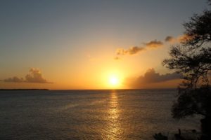 Mit dem Mountainbike auf Tobago / Trinidad und Tobago in der Karibik die Natur erkunden. Sightseeing, Tagesausflug, Sport, Landgang auf eigene Faust und mit Guide.