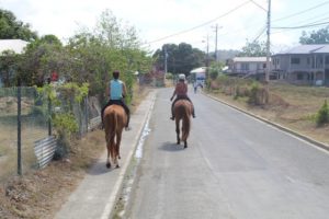 Mit Being with Horses aus Tobago auf Trinidad und Tobago sind wir mit Pferden zum Reiten unterwegs gewesen. Der Tagesausflug zum Kimme Museum in Mount Irvine hat Spaß gemacht.