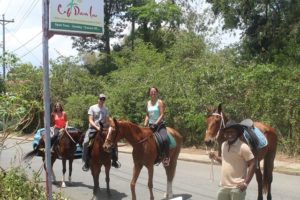 Mit Being with Horses aus Tobago auf Trinidad und Tobago sind wir mit Pferden zum Reiten unterwegs gewesen. Der Tagesausflug zum Kimme Museum in Mount Irvine hat Spaß gemacht.