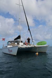 Snorkel with the Catamaran Picante on Tobago along the coast. Our first trip with a catamaran in the Caribbean