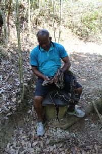 Roy Corbin is taking care of an injured snake