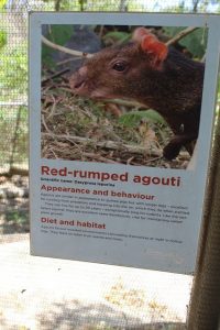 Information boards accompany the visitor through the park