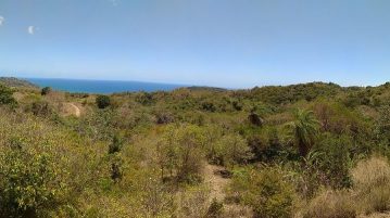Wandern auf Tobago