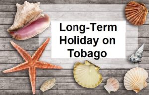 Long-term holiday in the Caribbean on Tobago is particularly attractive. Turn winter into summer and benefit from many advantages with Tobago-Live.