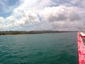 Die Küste an der Karibik auf Tobago und Trinidad und Tobago ist grün. Es gibt auch Sandstrand und Strand. Mit der Bootstour mit Alibaba aus Castara erkundet man die Insel. Auch mit BBQ im Nylon Pool und No Man´s Land.