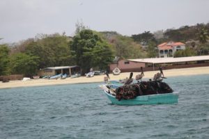 Die Küste an der Karibik auf Tobago und Trinidad und Tobago ist grün. Es gibt auch Sandstrand und Strand. Mit der Bootstour mit Alibaba aus Castara erkundet man die Insel. Auch mit BBQ im Nylon Pool und No Man´s Land.