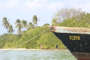 Die Küste an der Karibik auf Tobago und Trinidad und Tobago ist grün. Es gibt auch Sandstrand und Strand. Mit der Bootstour mit Alibaba aus Castara erkundet man die Insel. Auch mit BBQ im Nylon Pool und No Man´s Land.