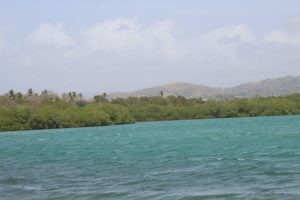 Die Küste an der Karibik auf Tobago und Trinidad und Tobago ist grün. Es gibt auch Sandstrand und Strand. Mit der Bootstour mit Alibaba aus Castara erkundet man die Insel. Auch mit BBQ im Nylon Pool und No Man´s Land.