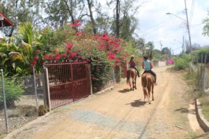 Mit Being with Horses aus Tobago auf Trinidad und Tobago sind wir mit Pferden zum Reiten unterwegs gewesen. Der Tagesausflug zum Kimme Museum in Mount Irvine hat Spaß gemacht.