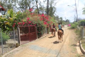 With Being with Horses from Tobago on Trinidad and Tobago we have been riding with horses. The day trip to the Kimme Museum in Mount Irvine was fun.