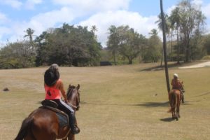 With Being with Horses from Tobago on Trinidad and Tobago we have been riding with horses. The day trip to the Kimme Museum in Mount Irvine was fun.