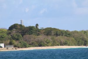 Kleine Traumstrände auf Tobago in Trinidad und Tobago in der Karibik begleiten den Katamaran Picante bei der Fahrt zum Schnorcheln