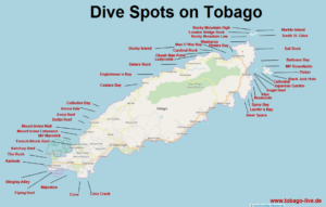Dive Spots on Tobago in the Caribbean